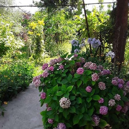 Zeleniy Dvorik Guest House New Athos ภายนอก รูปภาพ