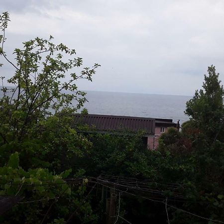 Zeleniy Dvorik Guest House New Athos ภายนอก รูปภาพ
