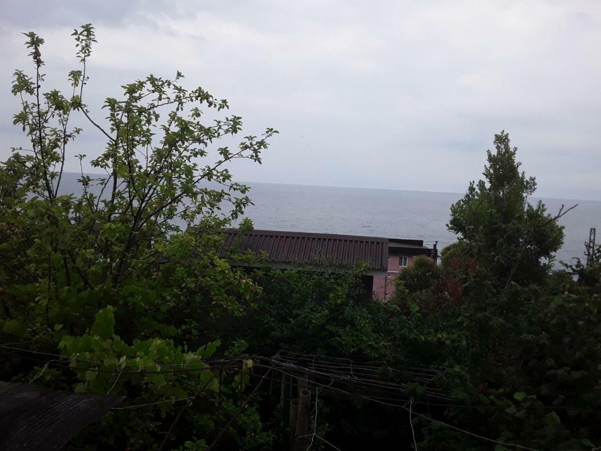 Zeleniy Dvorik Guest House New Athos ภายนอก รูปภาพ